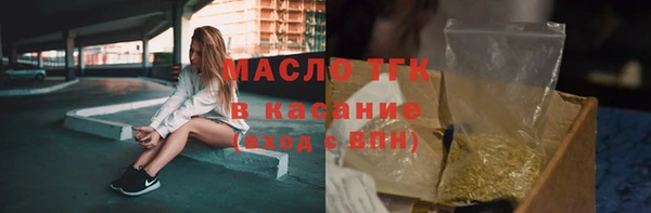 гашик Алексеевка