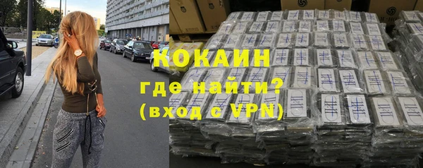 гашик Алексеевка