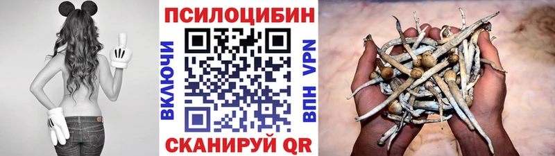 Псилоцибиновые грибы ЛСД Ивдель